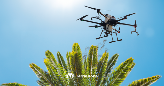 テラドローン子会社「Terra Drone Agri」、マレーシアの大規模パーム農園で高精度ドローンを活用したミノムシ防除を開始