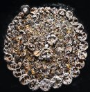 アート作品(2) アート作品(2)