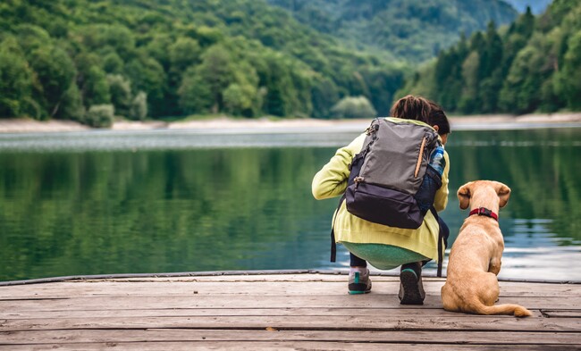 ペットとおでかけを楽しむ!「休日いぬ部」が66の観光スポット情報を公開