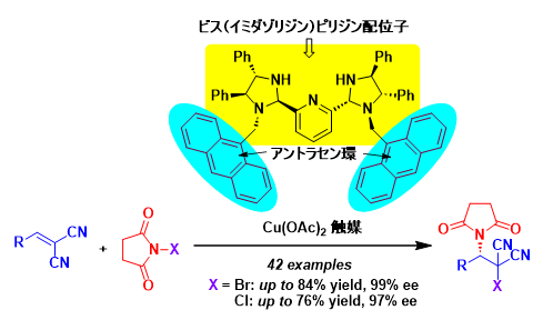 廃棄物を生じずにハロゲンと窒素を導入　高付加価値化合物の環境調和型開発に期待