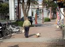 高齢者が犬と暮らすことによって 高齢者が犬と暮らすことによって