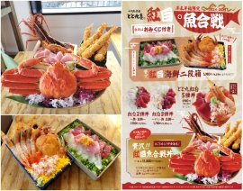 漁港の駅TOTOCO小田原の紅白魚合戦 漁港の駅TOTOCO小田原の紅白魚合戦
