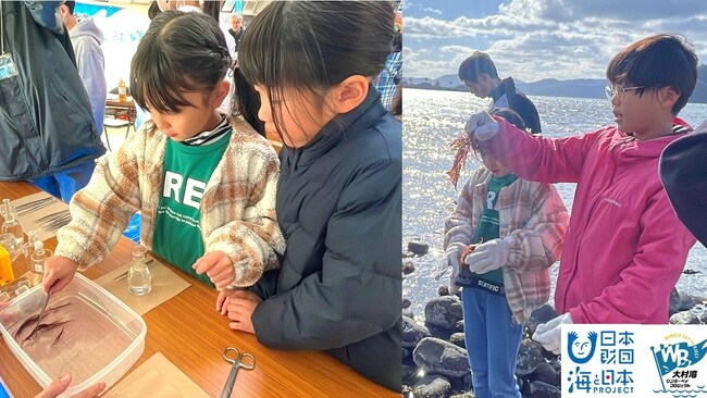 海藻がいなくなると、どうなるの？海藻って海でどんな役割なの？実験して調査しよう！【大村湾調査隊2024】を開催しました！