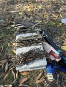 3種類の太さの木を集めます 3種類の太さの木を集めます