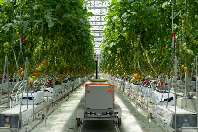 inaho株式会社 | エア・ウォーター農園 安曇野菜園へマルチ台車ロボットをRaaSモデルで10台提供
