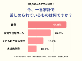 ママたちが家計で苦しめられているものは? ママたちが家計で苦しめられているものは?