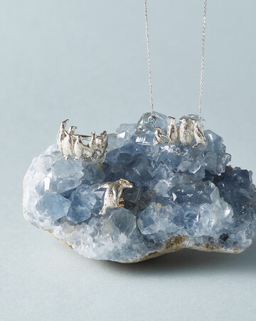 【ヴァンドームブティック】日本橋三越本店にて1月8日(水)より、旭山動物園応援企画POP UP SHOPを開催