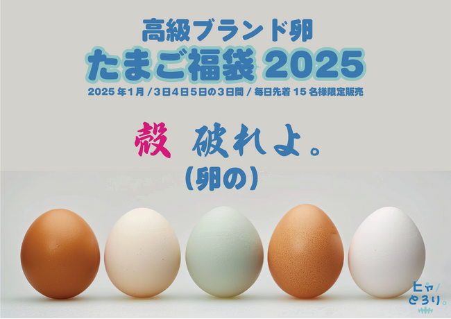 【希少な福袋】