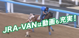 きんに君があの名馬と駆け抜ける! きんに君があの名馬と駆け抜ける!