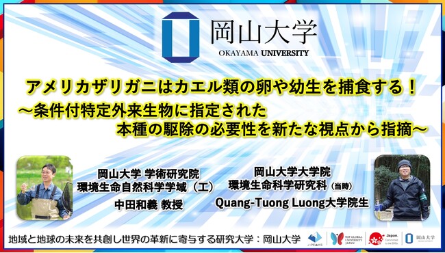 【岡山大学】アメリカザリガニはカエル類の卵や幼生を捕食する！～条件付特定外来生物に指定された本種の駆除の必要性を新たな視点から指摘～