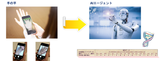 人とAIエージェントをシームレスに紐づけるDNA型識別子。開発キットを提供開始。