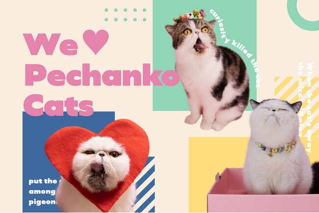 【BIRTHDAY BAR】人気の猫インフルエンサーとのコラボアイテムを発売！