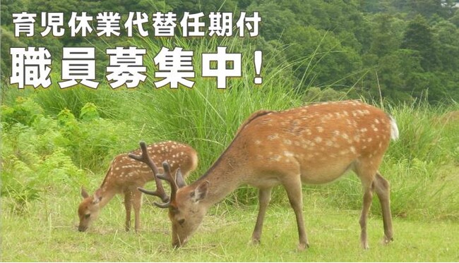 奈良県育児休業代替任期付職員(事務)を募集!