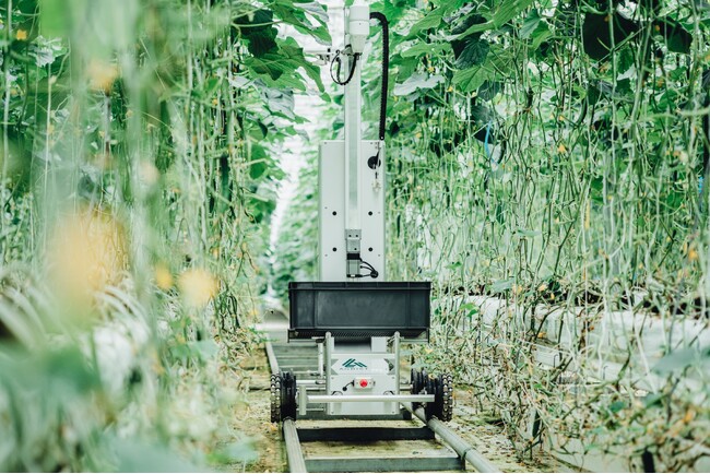 AGRIST、収穫ロボット技術を活用し「福岡100ラボ」の共働事業を実施。障がい者の社会参加と農業の人手不足解消を目指す