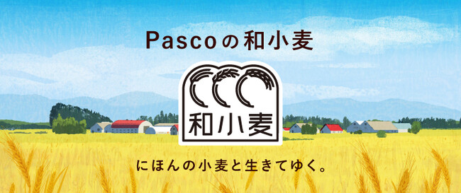 Pascoは食料自給率向上への貢献を目指し、新ブランド『和小麦』を立ち上げます。