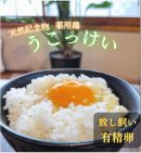 薬鳥うこっけいのたまごかけご飯 薬鳥うこっけいのたまごかけご飯