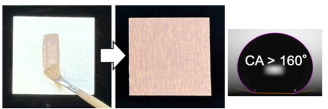 水も汚れも弾きます！構造色塗装技術への一歩 ～ロータス効果のある色褪せしない次世代塗装材料に向けて～