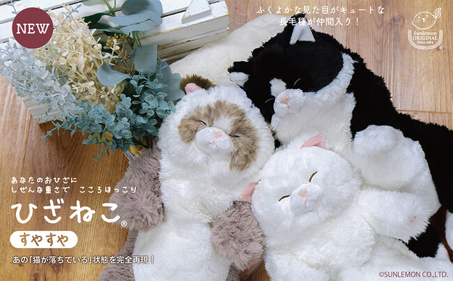 【癒し系ぬいぐるみ】すやすやと眠っている姿が大人気のひざねこに人気の長毛種が新登場!