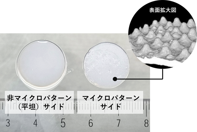 3次元培養に使用できるマイクロパターン付コラーゲン基材を販売開始