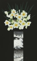 山﨑鈴子 出展作品 山﨑鈴子 出展作品