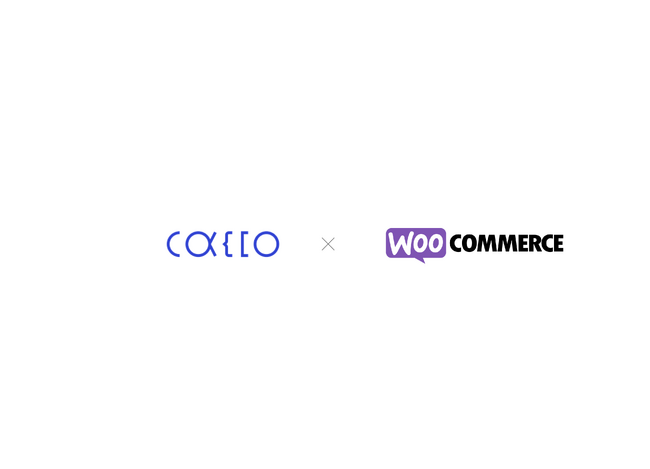 「O-PLUX」が世界上位100万のECサイトのうち30％※が採用するECプラットフォーム「WooCommerce」と不正検知分野の日本企業として初の開発不要で連携可能に