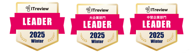 AeyeScanが、「ITreview Grid Award 2025 Winter」「脆弱性診断ツール/サービス」部門で「Leader」に選出