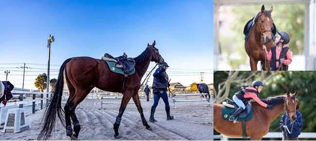 【ヒルトン成田】競走馬育成の地、成田で遊んで学ぶ　　　　　　　　　　　　　　　　　　　　　　　　　　　　　　〈1日2組限定〉「乗馬体験プラン～ウマ活～」販売スタート！