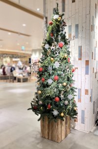 【ウインター装飾実施レポート】 高槻阪急スクエア
