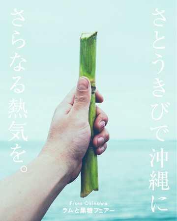 沖縄県が「さとうきび」をテーマに、「From Okinawa ラムと黒糖」フェアーを実施。銀座ロフト、スパイラルにて、物販はもちろん、ラムを楽しめる試飲会やPOP UP BARなどを展開します。