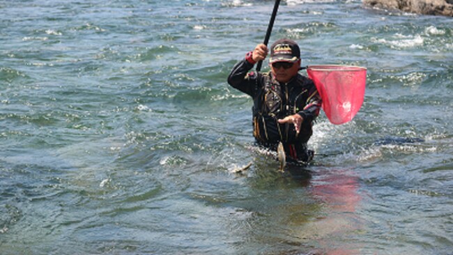 長良川の激流で大アユを掛けまくり!【フィッシングDAYS】1月18日(土)放送