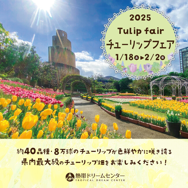 【海洋博公園】県内最大級「チューリップフェア」開催！～約 40 品種・8 万本のチューリップが一足早い春をお届け～