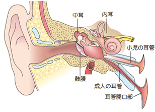 【AMR臨床リファレンスセンター】薬剤耐性と急性中耳炎医師と患者のコミュニケーションが重要