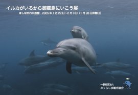 イルカがいるから御蔵島にいこう展 イルカがいるから御蔵島にいこう展