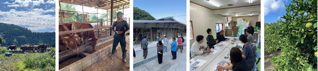 地方創生や店舗支援を目的とした、熊本県とのコラボレーション企画　食べて地方創生第7弾「GEMS×熊本フェア」を2025年1月28日より開催