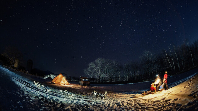 【期間限定プラン】夜空一面に広がる美しい星々や月あかりの下、十勝の雪原を犬達とともに走りまわる。「キャンピングカーで行く月と星の犬ぞりツアー」の開始