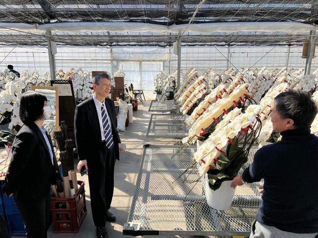 農福連携で胡蝶蘭を生産するAlonAlon（理事長那部智史、千葉県いすみ市）と、花と緑のプロフェッショナルとして創業 127 年を迎える第一園芸株式会社との取引がスタートします。