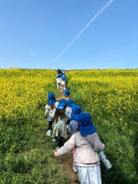 流山市の「森のまち保育園」、保育士の新卒求人応募数が約3倍に　独自の少人数制保育方針に共感いただいた方からの応募が急増