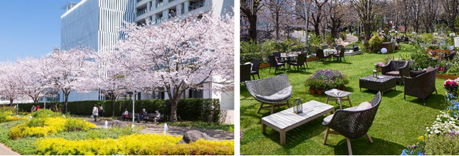 【東京ミッドタウン】東京ミッドタウンで春を満喫　都心で楽しむ桜並木とアート「MIDTOWN BLOSSOM 2025」開催