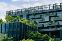 迫るサステナビリティ情報開示義務化の波！BSIグループジャパン（英国規格協会）主催の無料セミナー「SSBJ開示基準と第三者保証義務化の最新動向」1/30開催