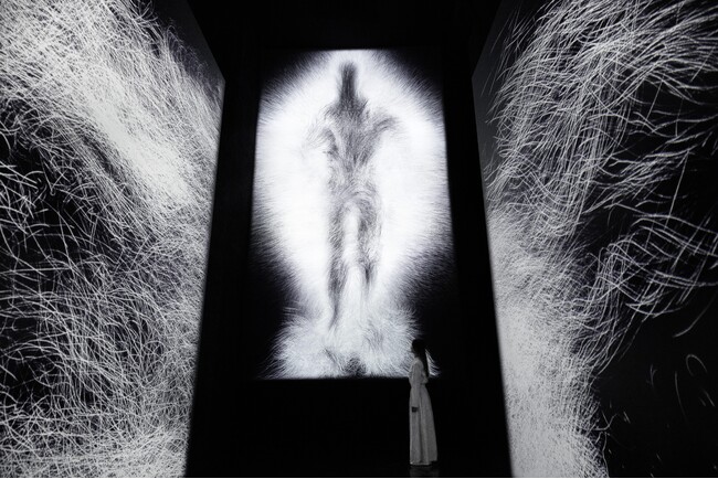 チームラボ、シンガポールの常設展「teamLab Future World」にて、新たな作品を、1月17日(金)より期間限定で公開