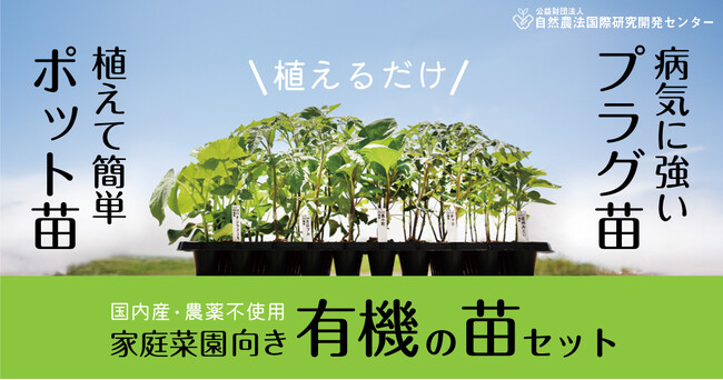 【予約受付中!!】家庭菜園向き「有機の苗アソート」　 24本ポット苗・50本プラグ苗 （公益財団法人 自然農法センター）