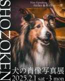 肖像犬_ポスター2 肖像犬_ポスター2