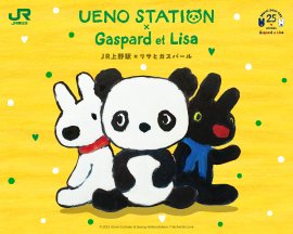 メインビジュアル メインビジュアル