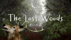 不思議な森からの脱出を目指す新作ゲーム『TheLostWoods / 迷いの森』がSteamで1月23日配信開始！