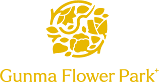 ぐんまフラワーパーク　名称を『Gunma Flower Park +』に改め2025年秋リニューアルオープン！【 ティザーサイト公開 】花とあそぶ体感型施設へ。