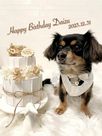 大切なペットのお誕生日、どうお祝いしているかを大調査！