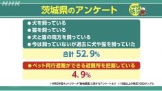 1月は防災月間！茨城県庁で「獣医師によるペット防災セミナー」を開催します！