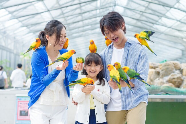 【JAF静岡】掛川花鳥園にJAFイベントブースを出展します！
