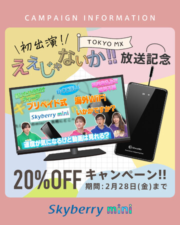 TOKYO MX　「ええじゃないか!!」でスカイベリー(R)miniが紹介されました