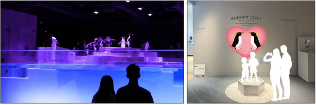 ナイトタイムが好評につき、夜の企画展の開催時間を延長！愛のすいぞくかん「バレンタイン特別ウィーク」を2週間限定で開催